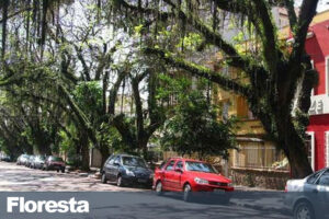 Síndico Profissional no bairro Floresta em Porto Alegre