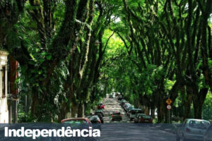 Síndico Profissional no bairro Independência em Porto Alegre